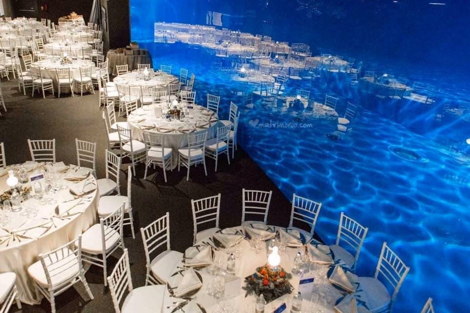 Quanto costa cenare all'Acquario di Genova?