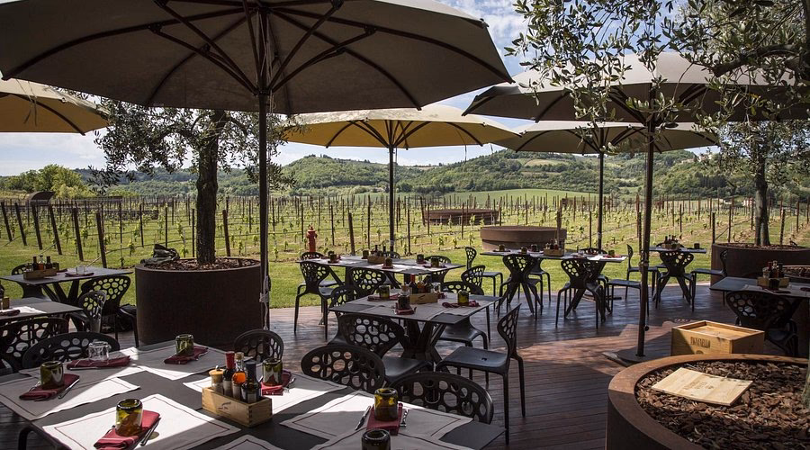 Quanto costa pranzare alla cantina Antinori?