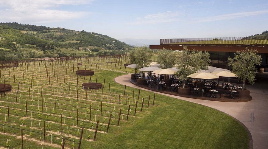 Chi è il proprietario della cantina Antinori?