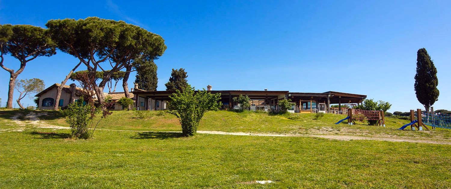 Come funziona l'ape regina?