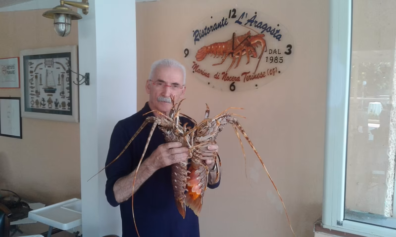 Quanto costa aragosta Intera?