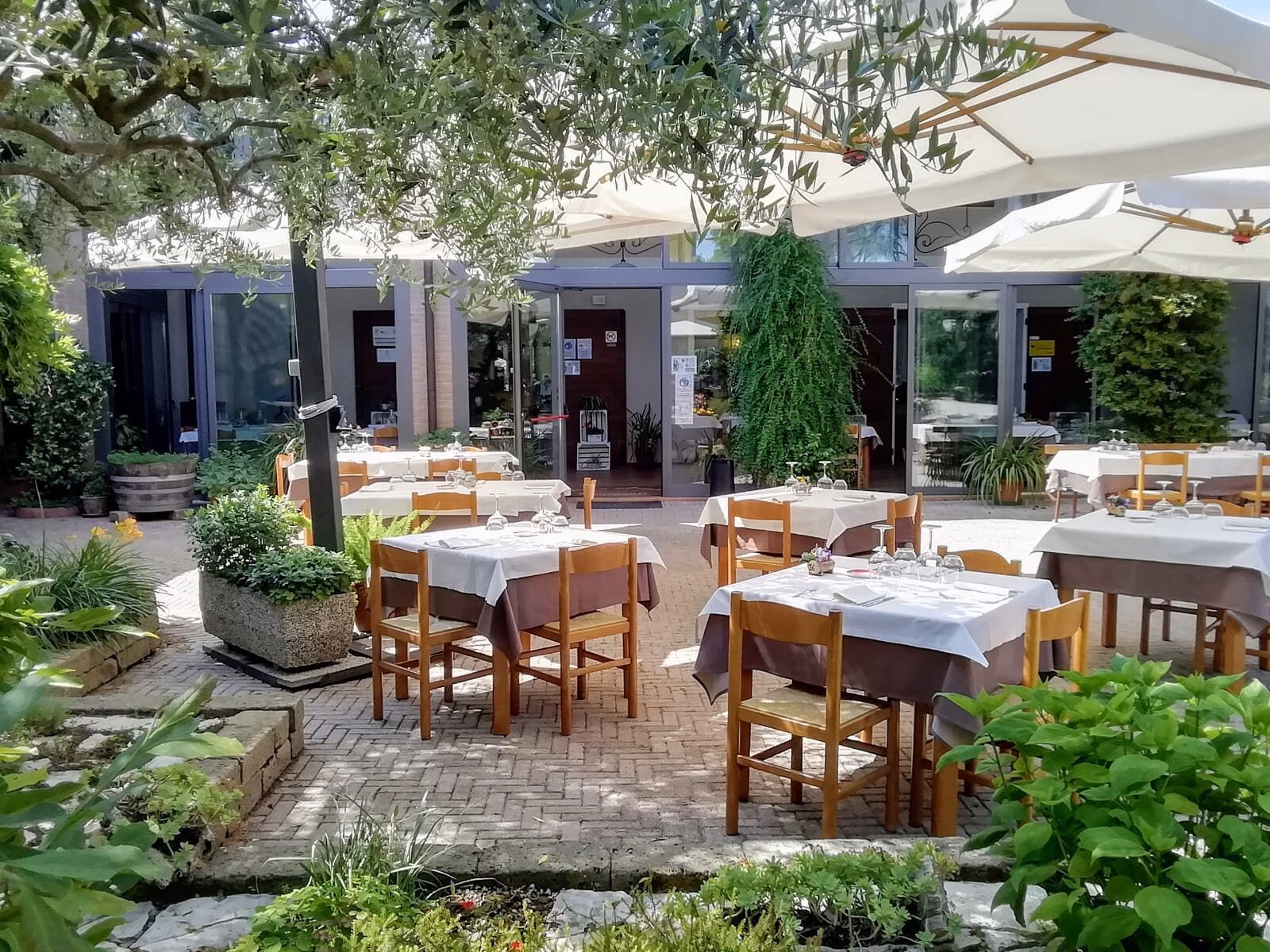 Cosa vuole spiegare il mito di Bacco e Arianna?