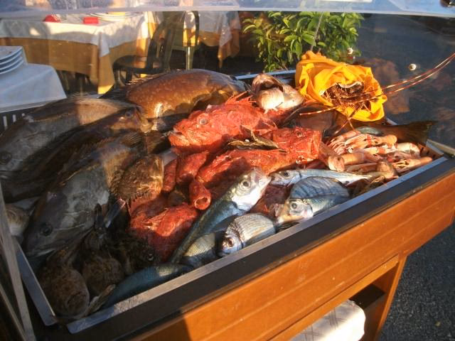 Come è il mare a Belvedere Marittimo?