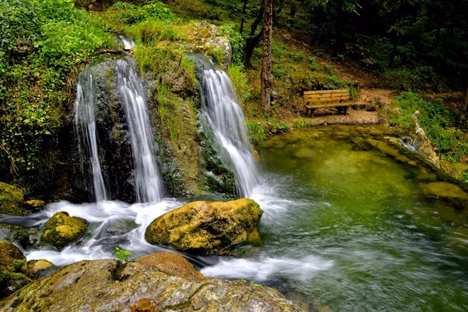 Cosa vedere alla cipresseta di Fontegreca?