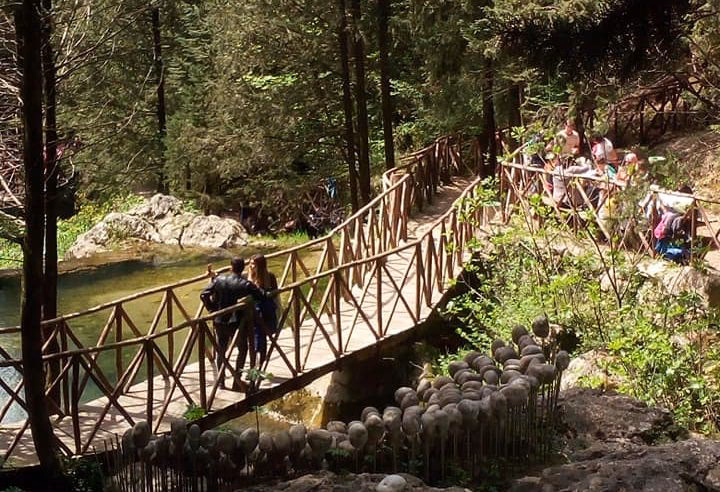 Quanto si paga alla cipresseta di Fontegreca?