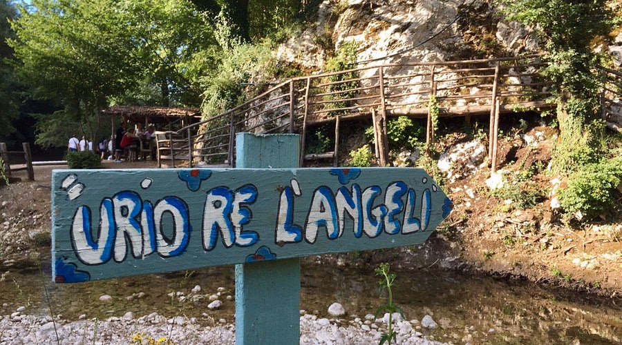 Come prenotare alla fattoria Rosabella?