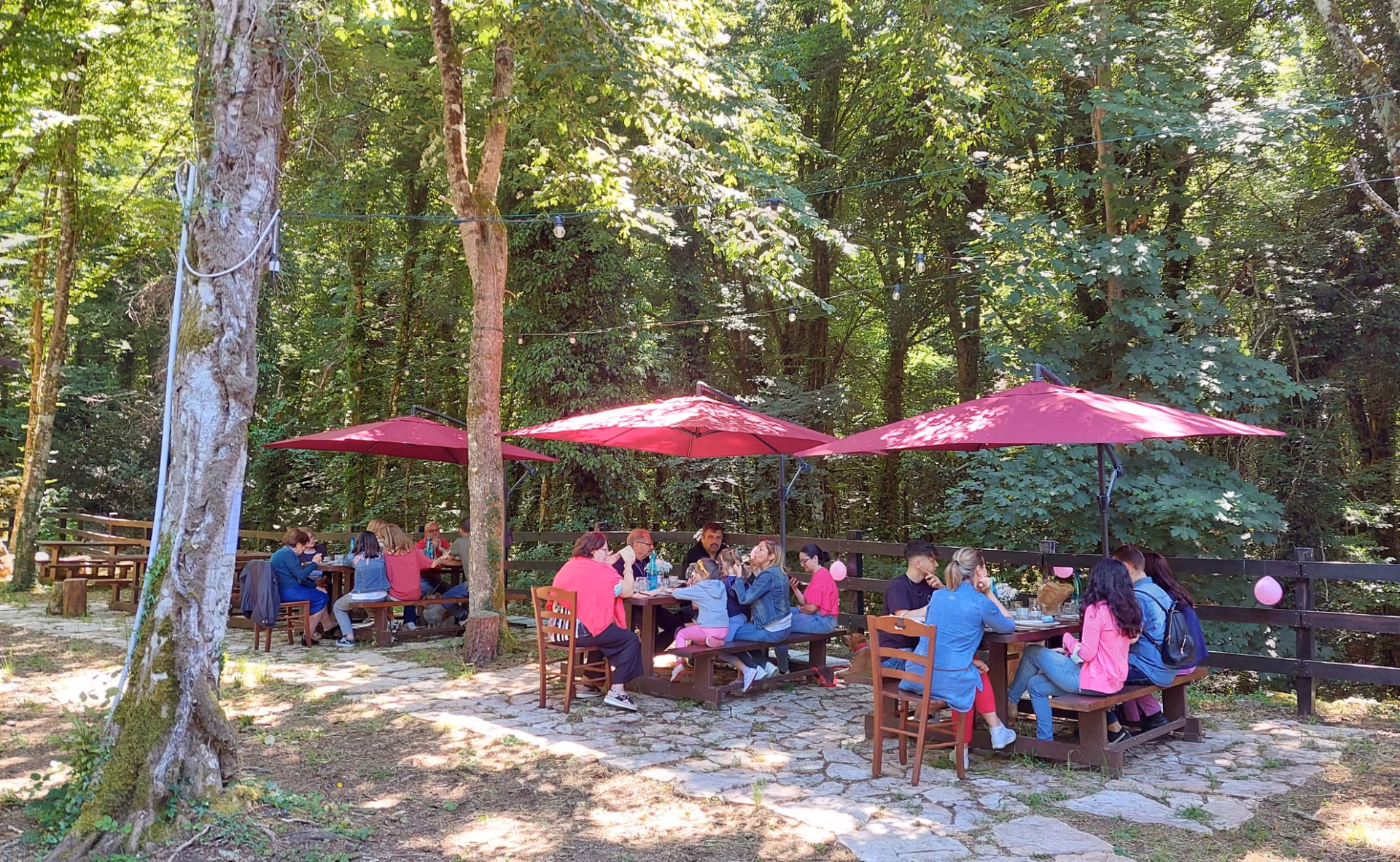 Quanto tempo ci vuole per visitare la foresta Umbra?