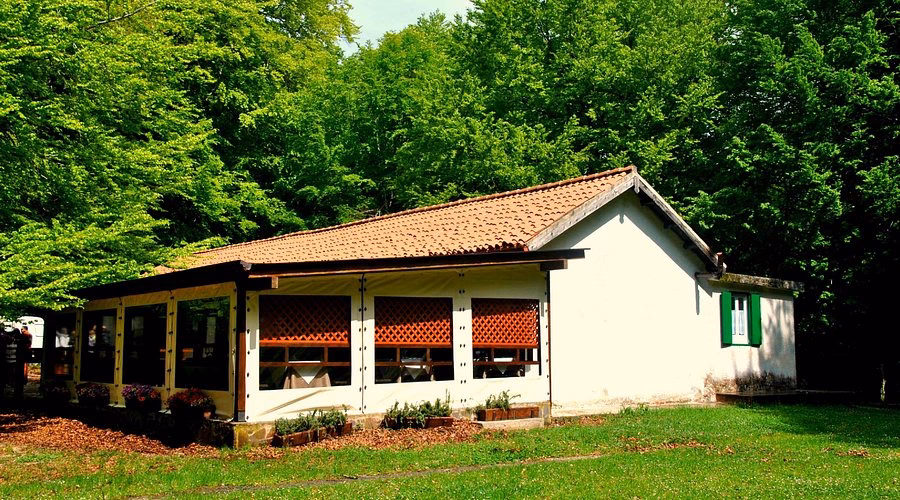 Cosa c'è nella Foresta Umbra?