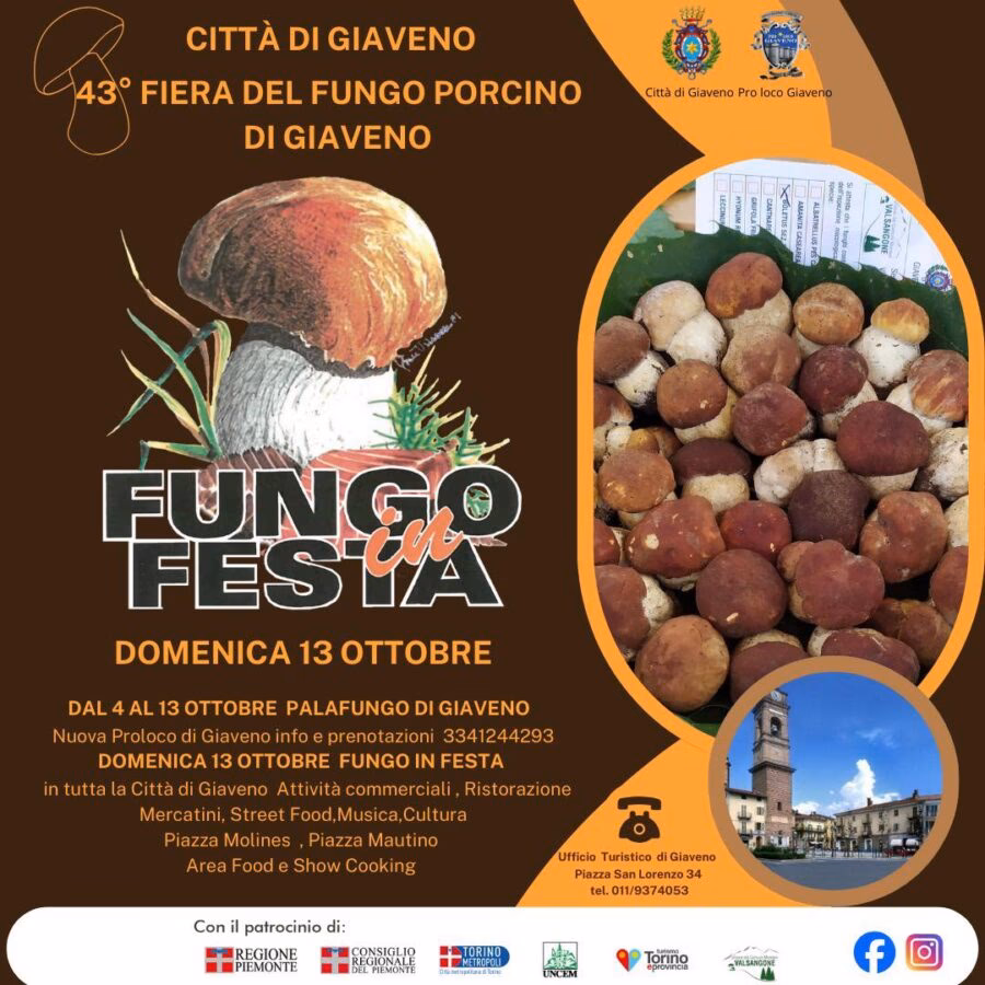 Dove andare a Funghi a Giaveno?