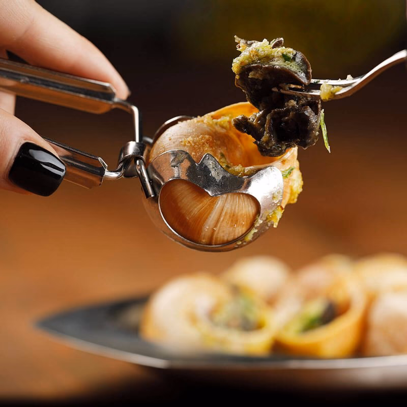 La chiocciola vive in gruppo o da sola?