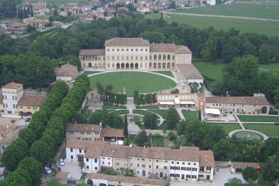 Cosa sono le cedrare?