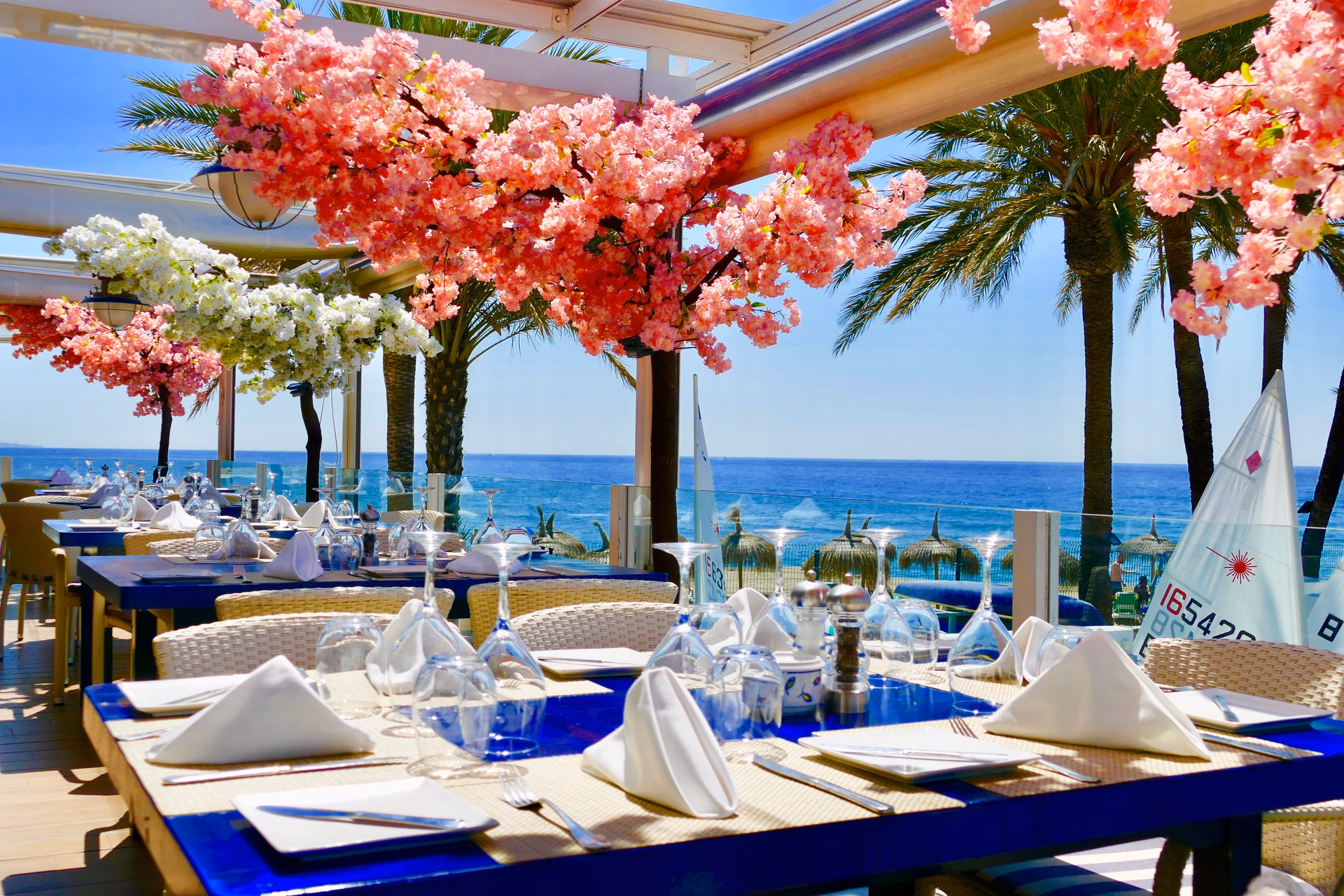 Dove andare la sera a Marbella?