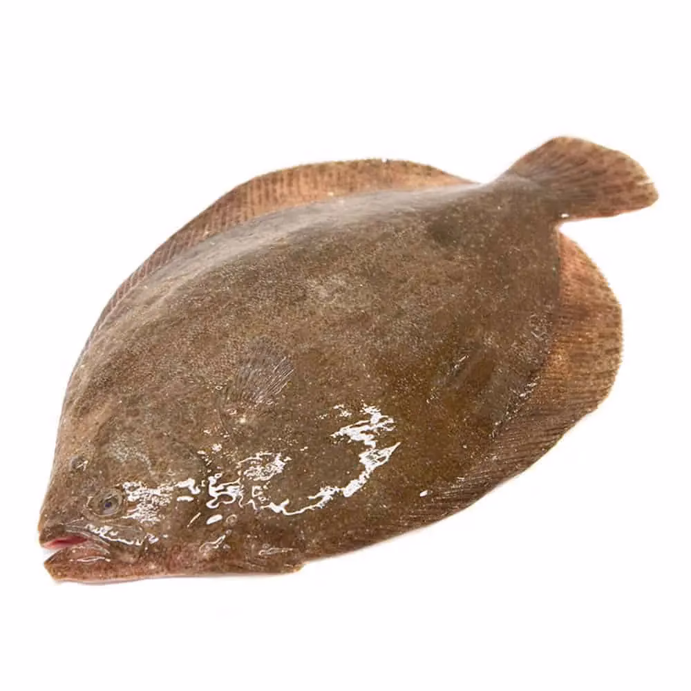 Quanto pesa un rombo di 40 cm?