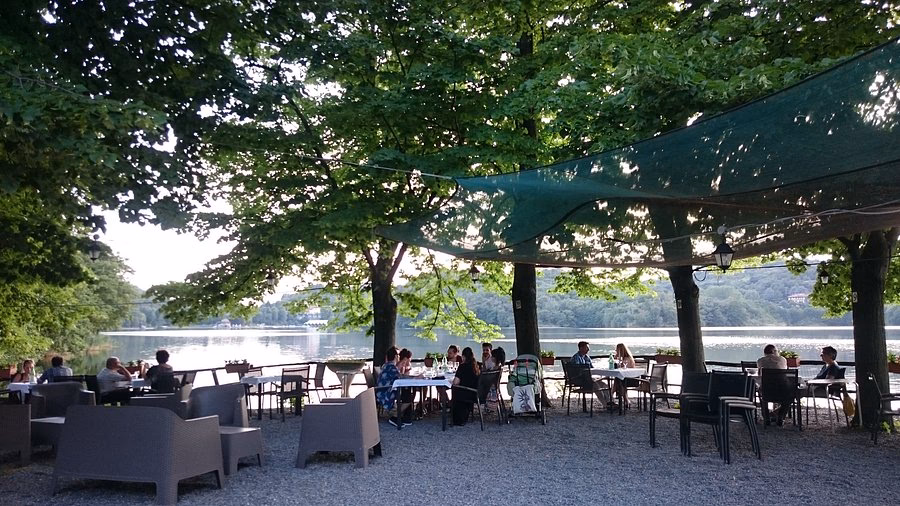 Dove abita il cigno?