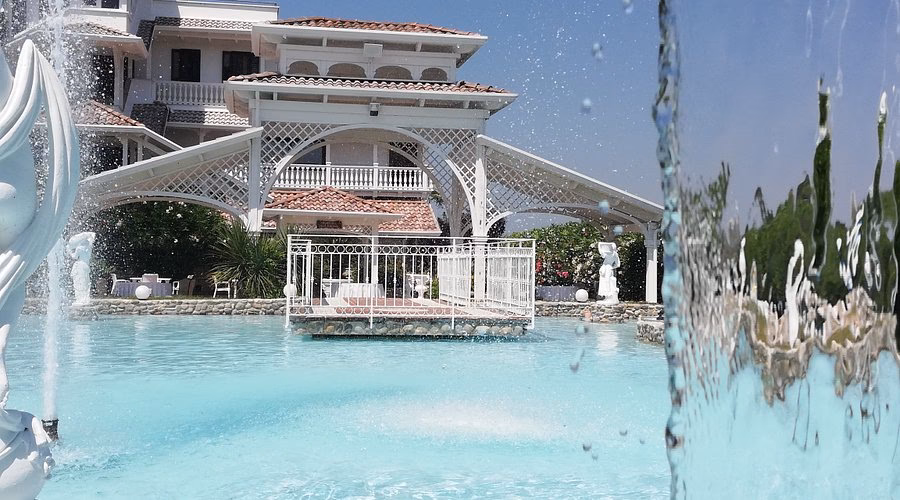 Che cos'è il cigno?