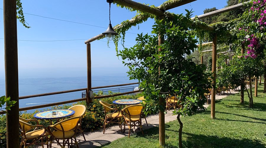 Quanto costa al chilo il fico d'India?