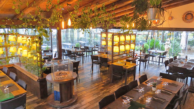 Come si chiama il ristorante di Albano?