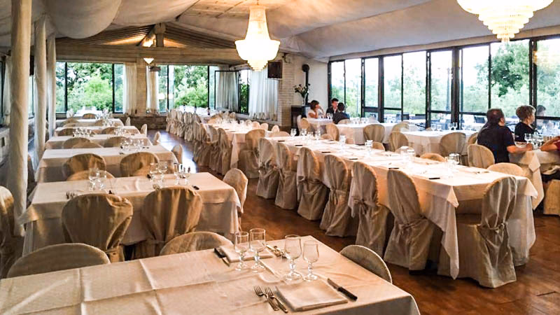 Che fa il pettirosso?