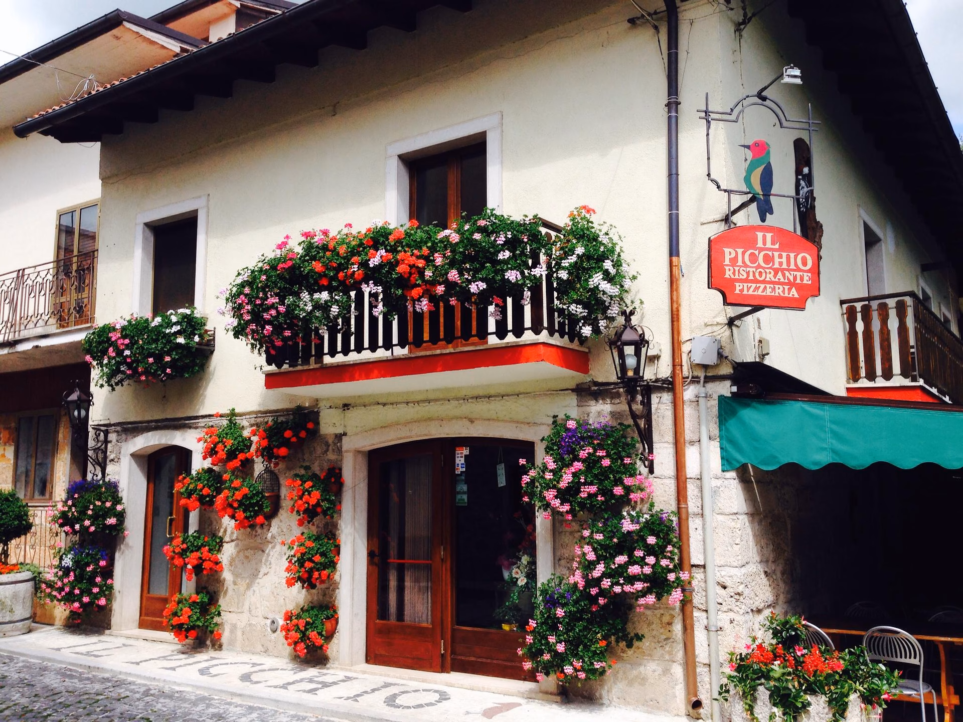 Cosa mangia il picchio?