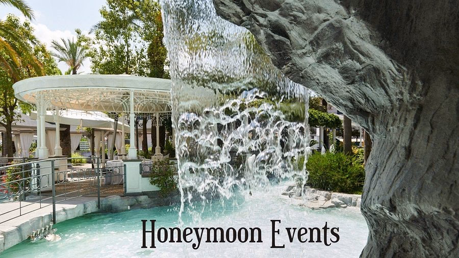 Quanto costa un banchetto di nozze a Luna Di Miele?