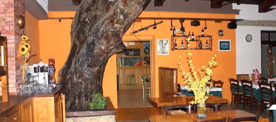 Dove si trova il Monte Cucco?