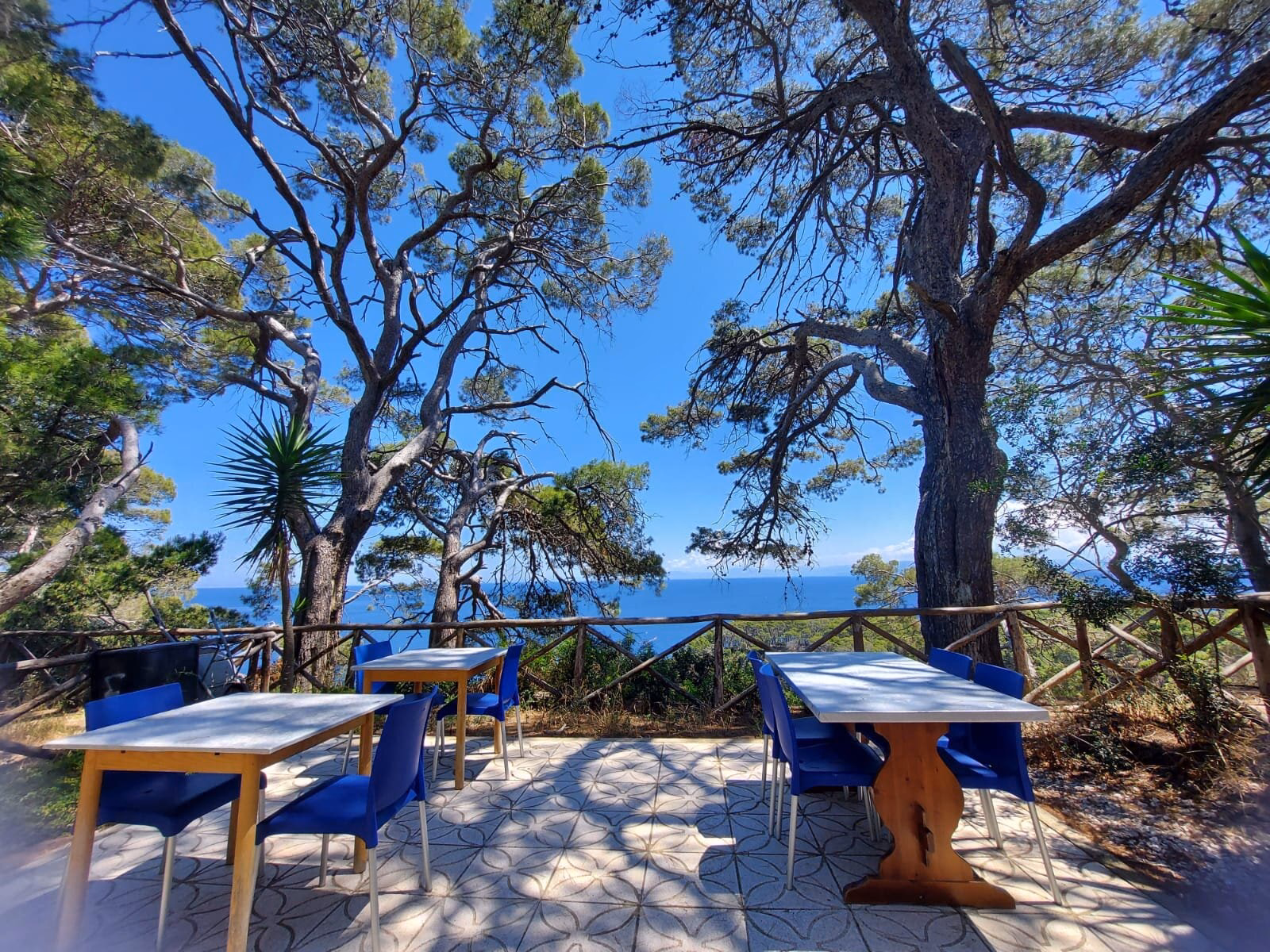 Chi vive alle Isole Tremiti?