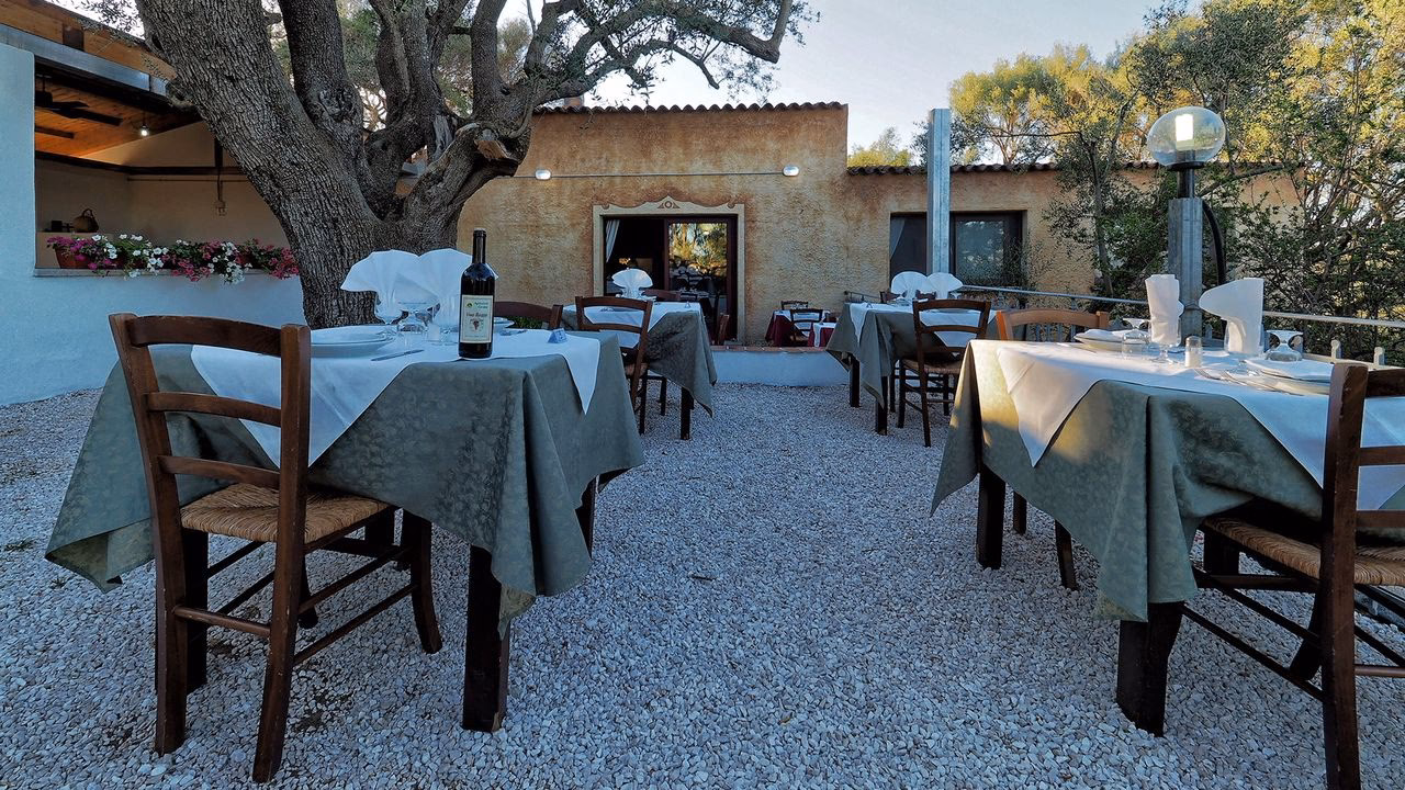 Dove andare la sera ad Arzachena?