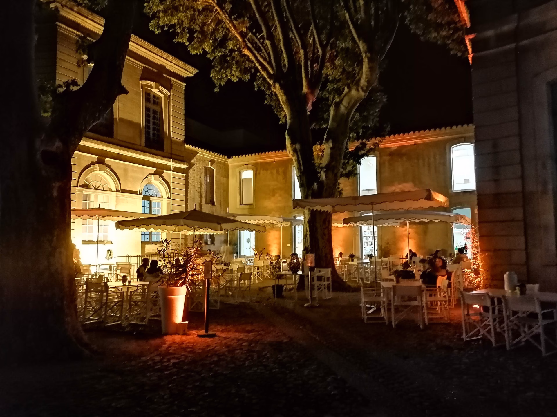 Cosa si mangia di tipico ad Avignone?