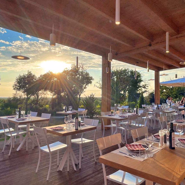 Chi sono i proprietari di Bolgheri?