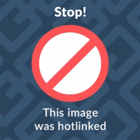 Quali sono i migliori ristoranti etnici a Firenze?