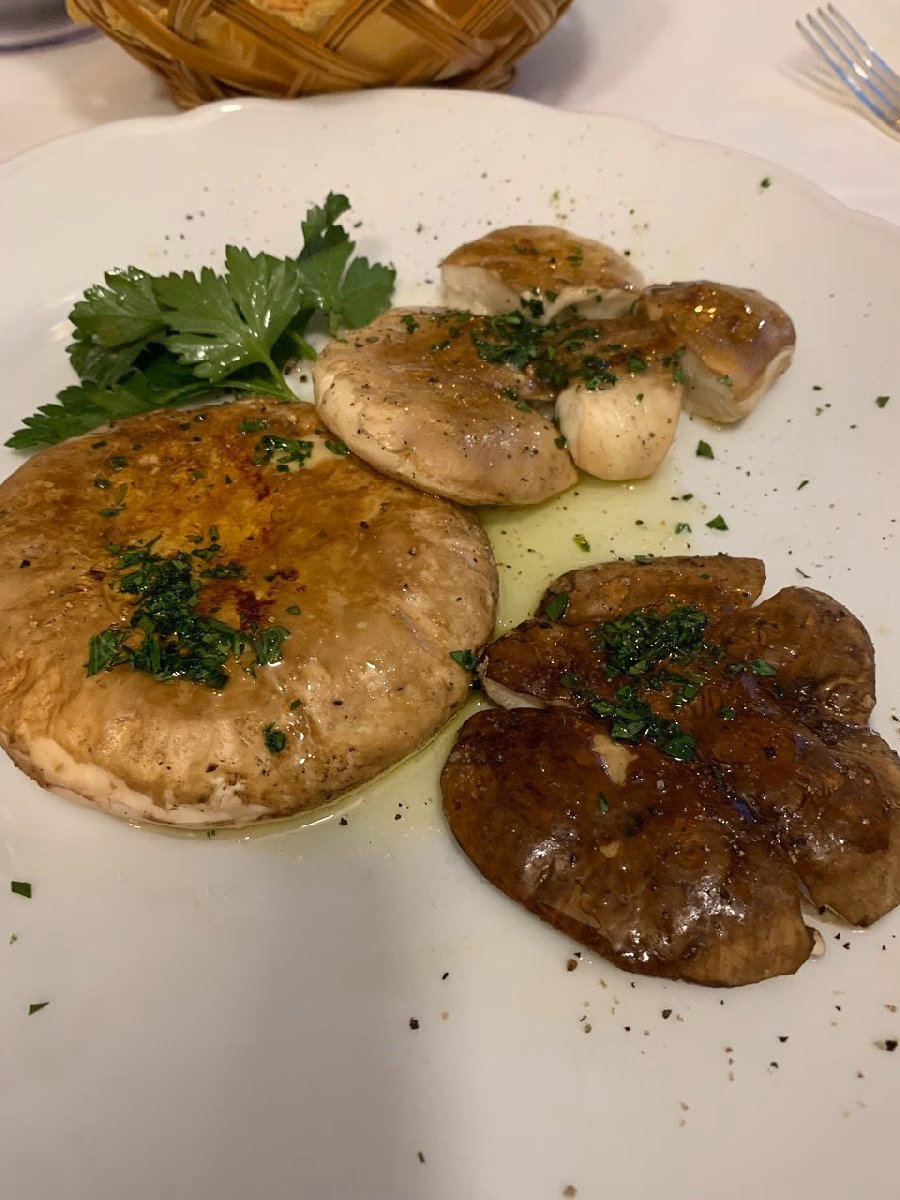 Quando evitare di mangiare i funghi?