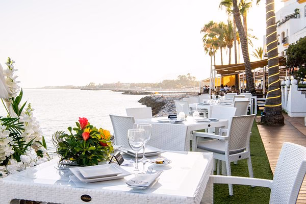 Dove vanno i VIP a Marbella?