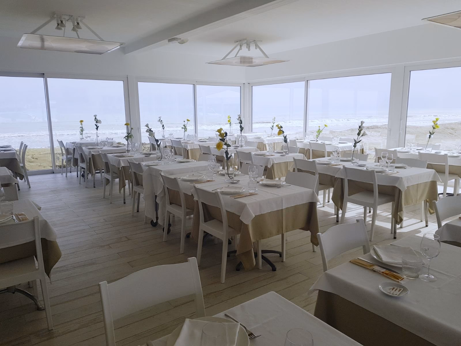 Cosa si mangia di tipico a Senigallia?