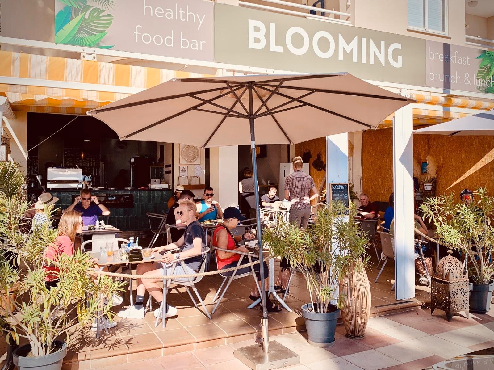 Dove fare serata a Torremolinos?