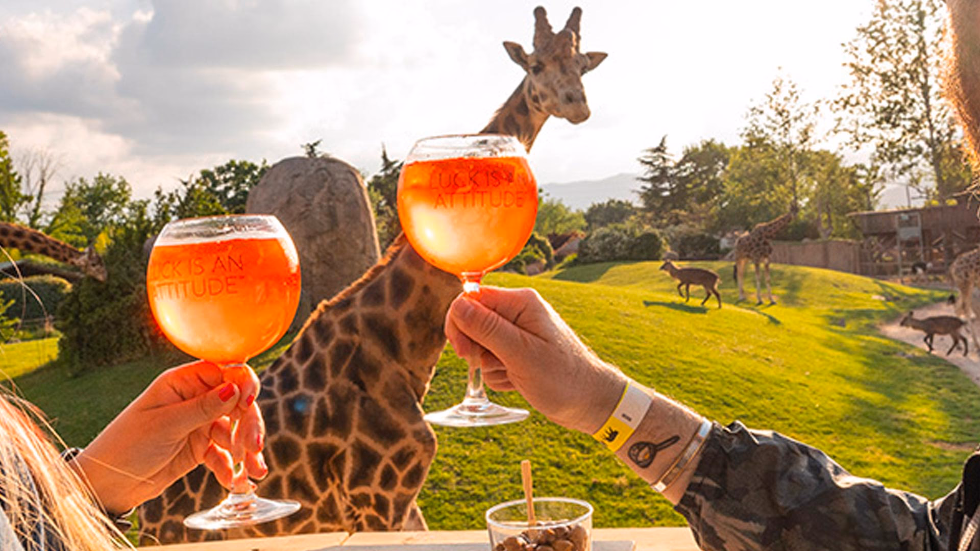 Chi è il padrone di Zoom Torino?
