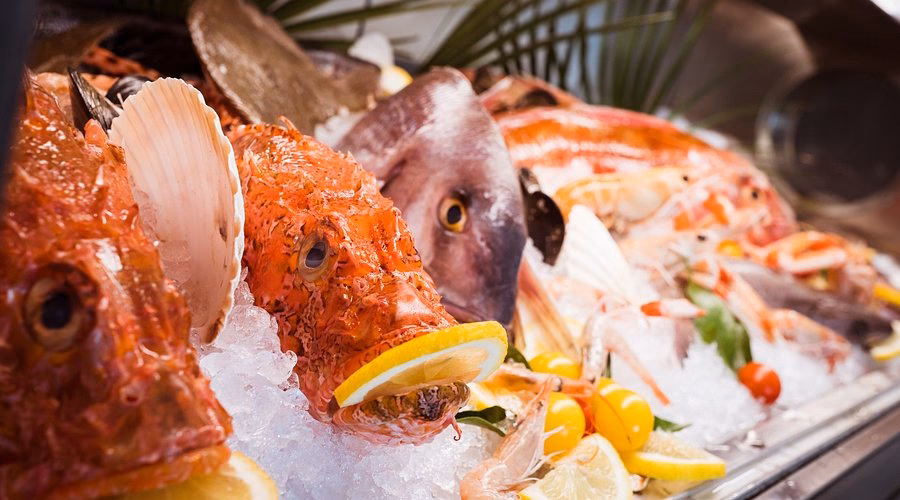 Quali sono i ristoranti di Moreno Cedroni?